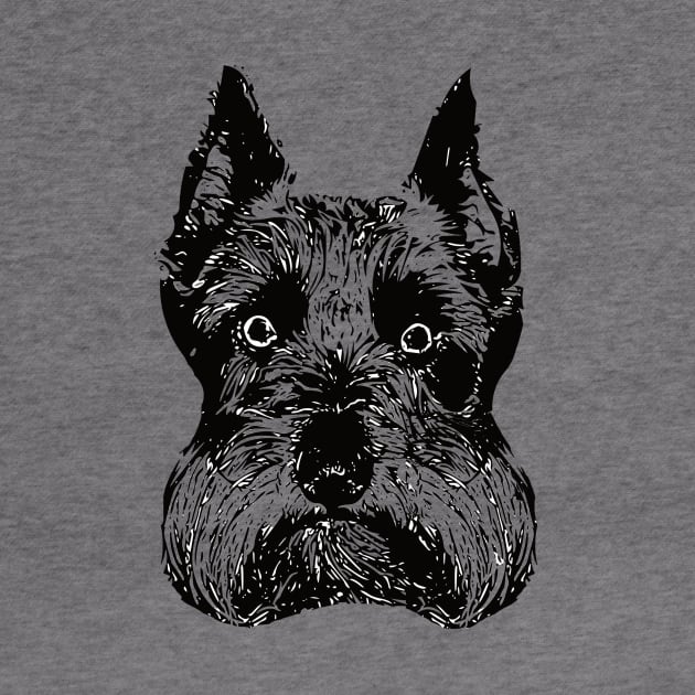 Schnauzer Face by DoggyStyles